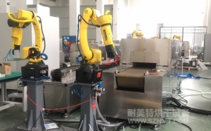 NMT-ZP-108 疫苗玻璃瓶小型預(yù)熱加固化自動(dòng)裝配線(蘇州?？松?